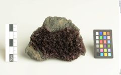 Foto von Kermesit (NHMW-MIN-Ak975)